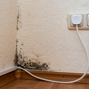 Mold by electrical plugs