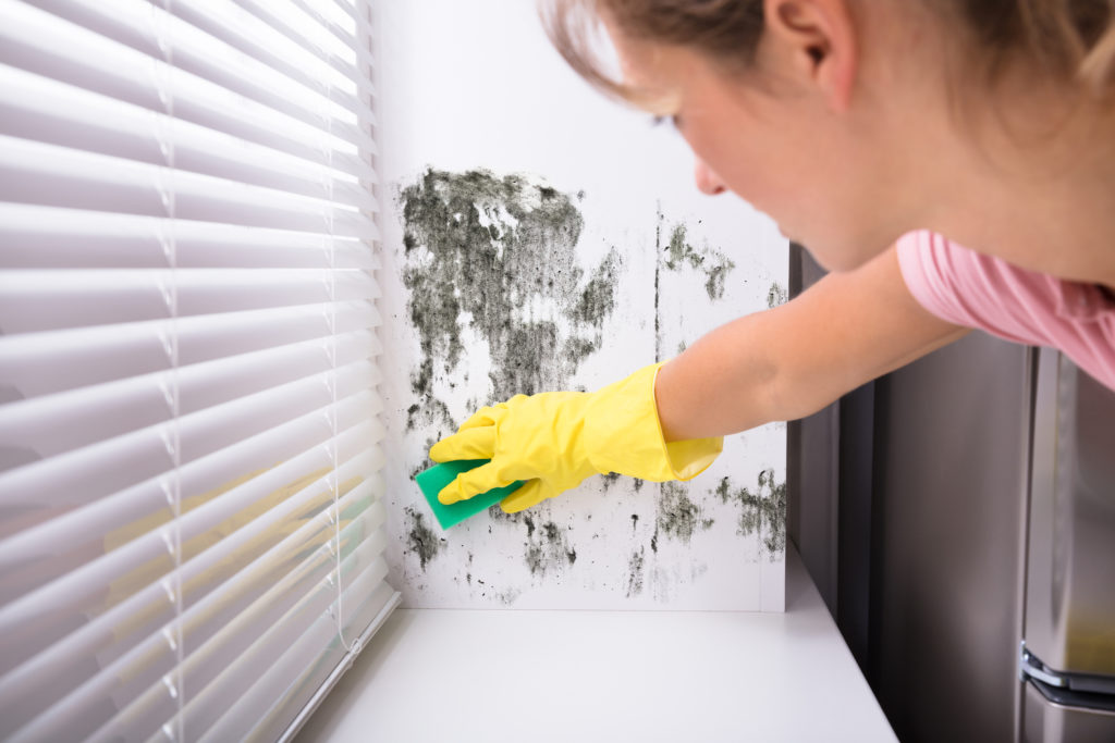 This is an example of a customer discovering mold on her wall after doing a thorough spring cleaning!