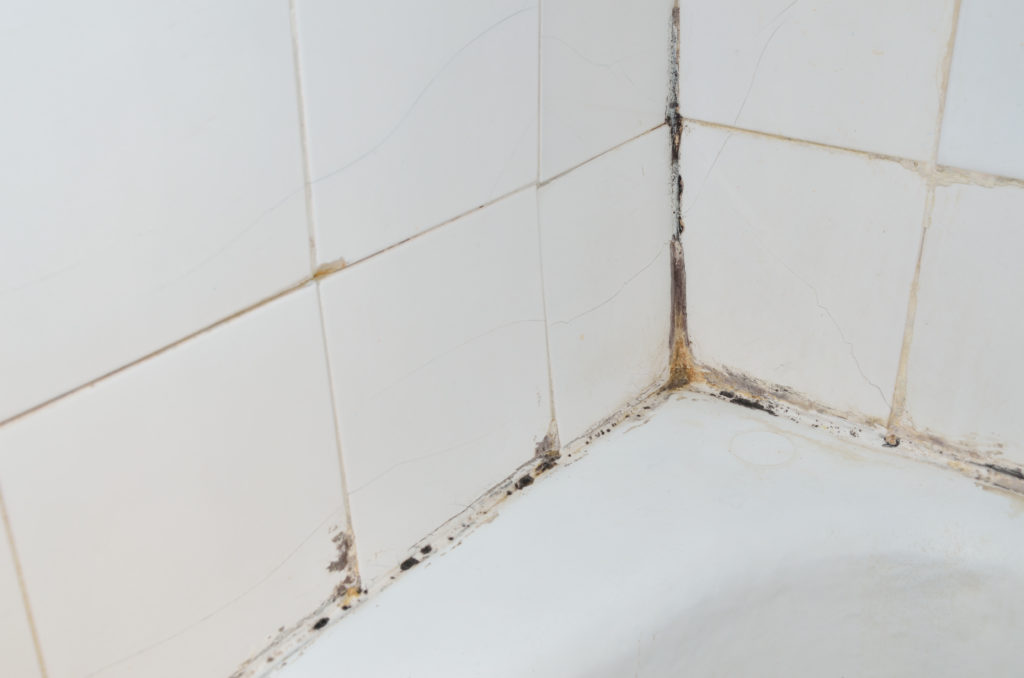 mold removal britisThis is an example of mold appearing in your bathroom! If you notice the appearance of black mold in your tile grout it is time to call Wright Restorations!